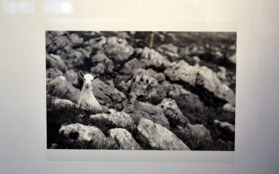 Rimske ceste – dio kulturnog krajolika Šatornalije – VIA AD IMUM MONTEM DITIONUM ULCIRUM
